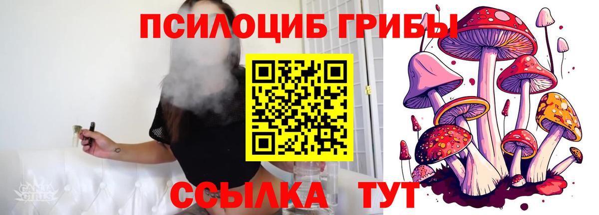 купить закладку  Галлюциногенные грибы MAGIC MUSHROOMS  Вход с VPN  Карталы  Псилоцибиновые грибы мухоморы 